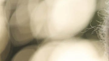 Donald Trump, presidente estadounidense