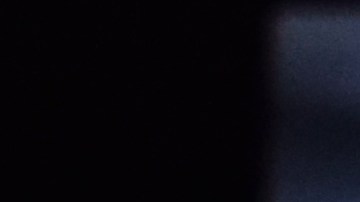 Trump lanza un nuevo servicio de telefonía y teléfono dorado