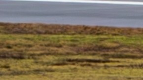 United Airlines mantendrá desactivadas las antenas de Starlink en su flota de aviones hasta que encuentre una solución al problema