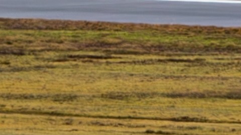 United Airlines mantendrá desactivadas las antenas de Starlink en su flota de aviones hasta que encuentre una solución al problema