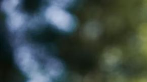 Vienen sorpresas con el Toyota Corolla 2026