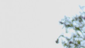 Asistentes levantan la mano durante un rezo durante la vigilia liderada por líderes interreligiosos en el parque Gloria Molina en Los Angeles.