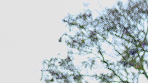 Asistentes levantan la mano durante un rezo durante la vigilia liderada por líderes interreligiosos en el parque Gloria Molina en Los Angeles.