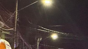 Violecia en Guanajuato