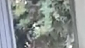 Violencia en Michoacán