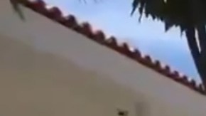 Violencia en Sinaloa