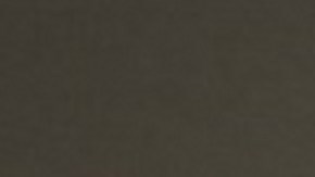 Warren Buffett y Elon Musk