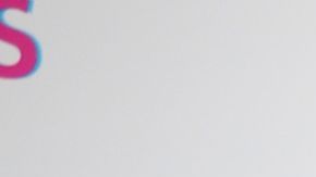 Wendy Guevara Cecilia Galliano