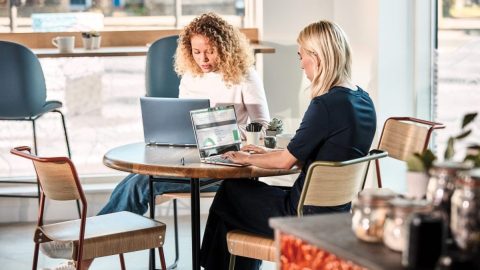Microsoft Career Path es una de las herramientas que la compañía ofrece a sus usuarios para mejorar sus posibilidades de encontrar empleo