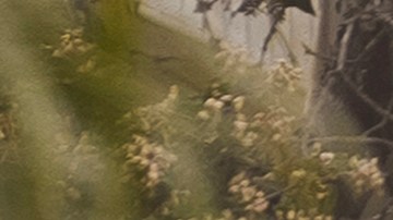 Las autoridades locales se encuentran en el lugar de los hechos, mientras se investigan las causas del accidente.