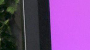 Aleska Génesis y Luca Onestini