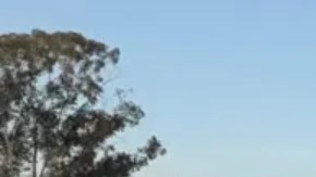 Andrea Bisso en el memorial de las víctimas del Festival Nova, en Israel.