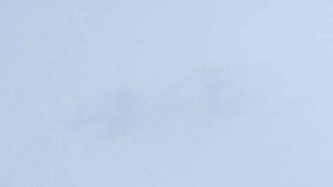 El Pentágono utiliza soldados y vehículos blindados Stryker para apoyar la misión en la frontera sur.