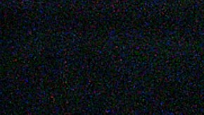 Si es declarado culpable, enfrenta una posible sentencia máxima de 20 años de prisión.