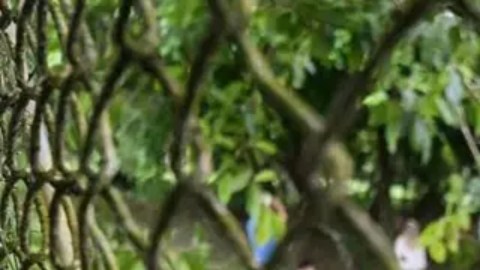 El afgano Mohammad Saber Asad es uno de los migrantes enviados al Centro de Atención Temporal al Migrante en Costa Rica.