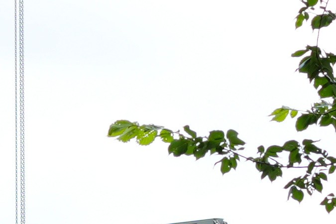 El escenario en la Elipse, cerca de la Casa Blanca, para el festival y desfile en conmemoración del 250 aniversario del Ejército de EE.UU., en Washington, D.C.