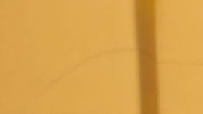 Patricia Vázquez Topete regresa a México tras dos décadas en California.