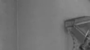 En diciembre de 1954, durante el gobierno de Eisenhower, el sha de Irán y su esposa, la reina Soraya, visitaron la Casa Blanca.