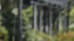 Miembros de las Fuerzas Armadas resguardaban un área durante las protestas en Changuinola, el 20 de junio.