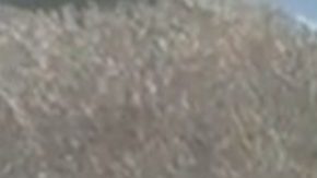 Un agente rompe el vidrio del vehículo de un migrante.