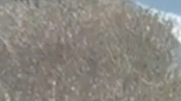 Un agente rompe el vidrio del vehículo de un migrante.