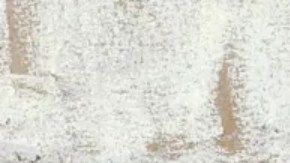 Carvajal llegó a ser una de las figuras más poderosas del gobierno de Venezuela.