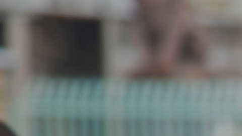 Agentes de ICE trasladaron al inmigrante indocumentado a un centro de detenciones en Los Ángeles.