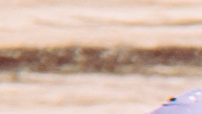 La lavanda posee interesantes propiedades espirituales.