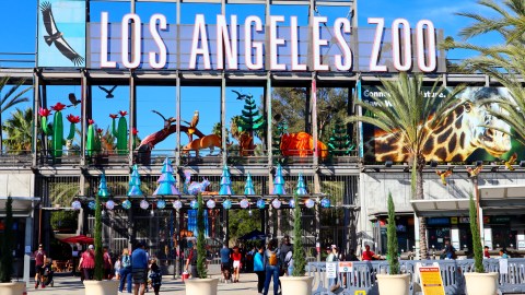 El Zoológico de Los Ángeles es un plan perfecto: alberga más de 1,400 animales y cuenta con un área de juegos acuáticos para los días calurosos.