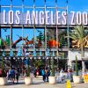 El Zoológico de Los Ángeles es un plan perfecto: alberga más de 1,400 animales y cuenta con un área de juegos acuáticos para los días calurosos.