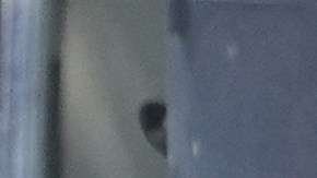 Marines en un punto de chequeo en las afueras de un edificio federal en Los Ángeles.