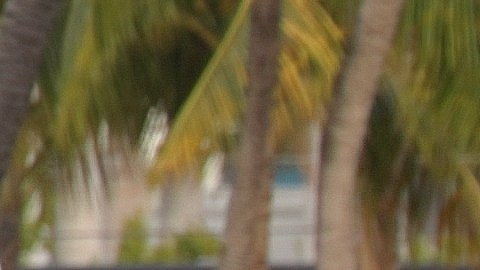 La tragedia ha generado alarma entre los residentes de Brickell, una zona reconocida por su seguridad y alto nivel de vida.