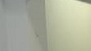 López permanece detenido en el Condado de Lake y no ha presentado aún una declaración de culpabilidad.