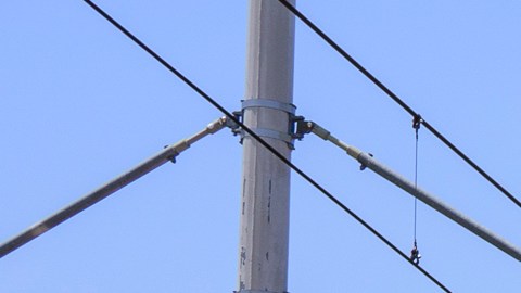 Manifestantes se unieron a otros grupos en el centro de LA.