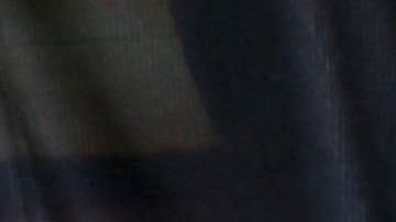 Rosa Saavedra