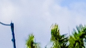 La institución aseguró que proporcionará más información a medida que avance la investigación