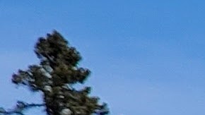 Equipos adicionales por tierra y aire fueron desplegados en el lugar para apoyar la investigación en curso.