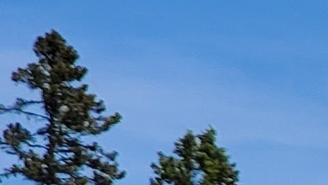 Equipos adicionales por tierra y aire fueron desplegados en el lugar para apoyar la investigación en curso.