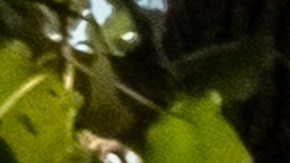 Las autoridades esperan una recuperación total de todos los pacientes.