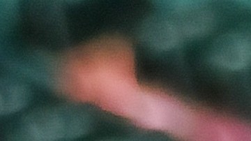 Una vez culmine el plazo de 90 días la adminitración Trump podría volver a extender la fecha límite en caso de así estimarlo conveniente