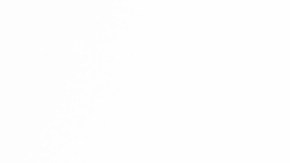 Configurando esta función de Android tu teléfono podrá leer cualquier mensaje de WhatsApp que recibas