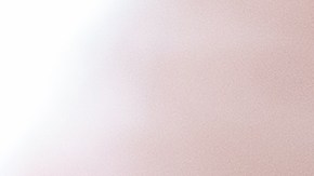 al menos 14 de los animales fueron sacrificados como parte del proceso de investigación y contención.