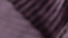 el sospechoso enfrenta nueve cargos adicionales por disparar un arma de fuego que resultó en lesiones graves.