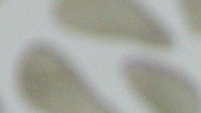 Juan Osorio Emilio Osorio