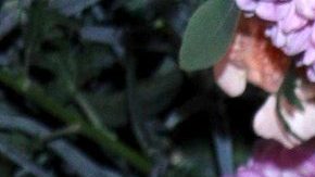 Jorge Luis Moreno es 'Don Nacho' en "La Jefa".