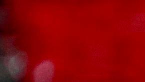 Jesús Angulo (i) y Alexis Vega de Toluca celebran un gol contra Necaxa en el estadio Nemesio Diez.