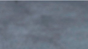 El presidente Trump se sometió a un examen médico.