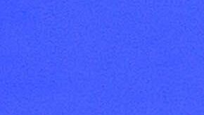 Clarissa Molina comparte su opinión ante la incendiaria declaración de "El Chicharito"