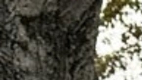 Edara era estudiante de la Universidad Rutgers, en Nueva Jersey, y se había unido al programa ROTC en septiembre de 2021.