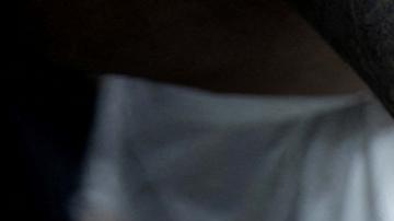 La banda criminal Tren de Aragua ha sido designada como organización terrorista por el gobierno de Estados Unidos.